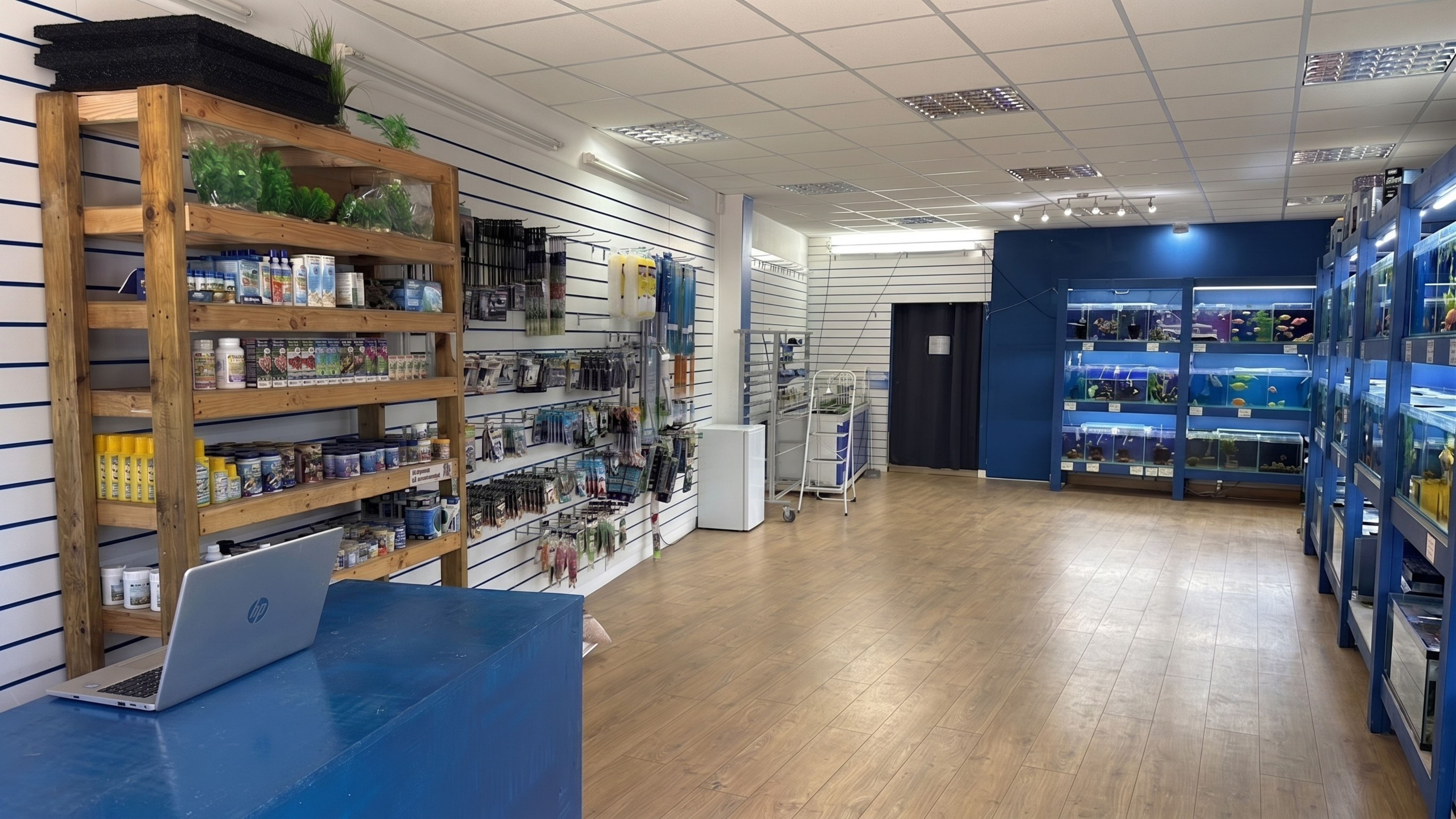 Showroom entrance and product shelves