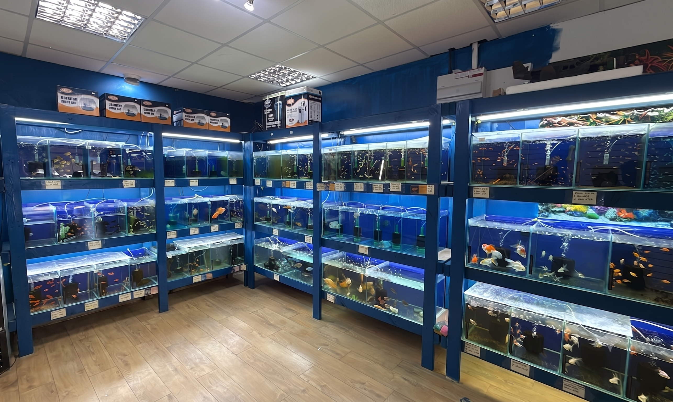 Store layout overview